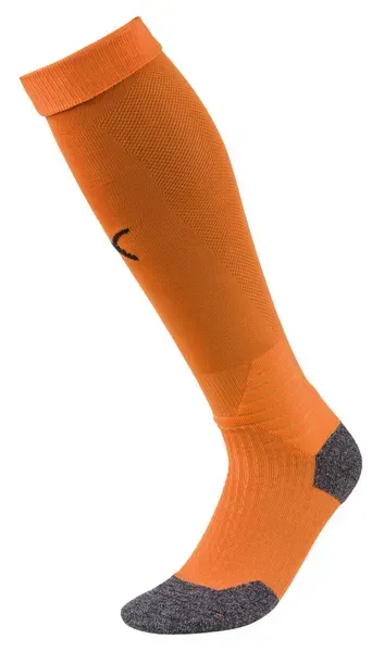 Гетри Puma Team LIGA Socks | 703438-08 фото