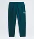 Чоловічі штани The North Face Tekware™ Grid Pants | NF0A84F14H0