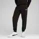 Штани Puma ESS No. 1 Logo Sweatpants | 68260601 фото 1
