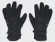 Чоловічі рукавиці Under Armour UA Storm Insulated Gloves | 1373096-002 фото 1
