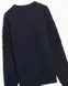 Чоловічий світшот Stone Island 60577 | 791560577 V0020 фото 3