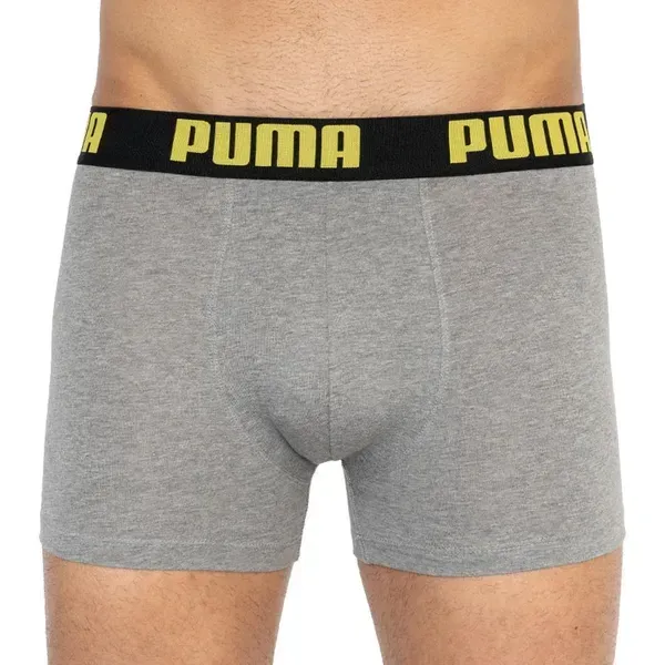 Чоловічі труси Puma Statement Boxer 2P | 501006001-020 фото