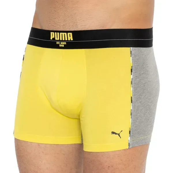 Чоловічі труси Puma Statement Boxer 2P | 501006001-020 фото