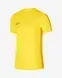 Чоловіча футболка Nike Dri-FIT Academy 23 | DR1336-719
