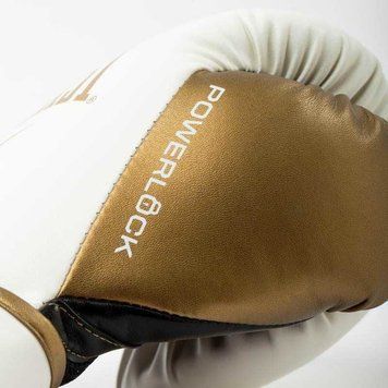 Боксерські рукавиці Everlast Powerlock 2R Training Gloves | P00003048 фото