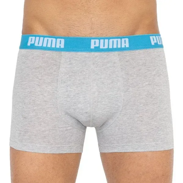 Чоловічі труси Puma Basic Boxer 2P | 521015001-006 фото