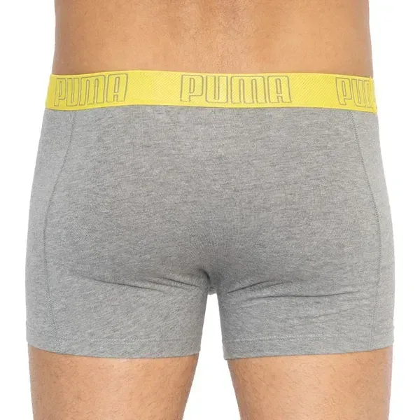 Труси-боксери Puma YD BOLD STRIPE BOXER 2P L | 501001001-020 фото
