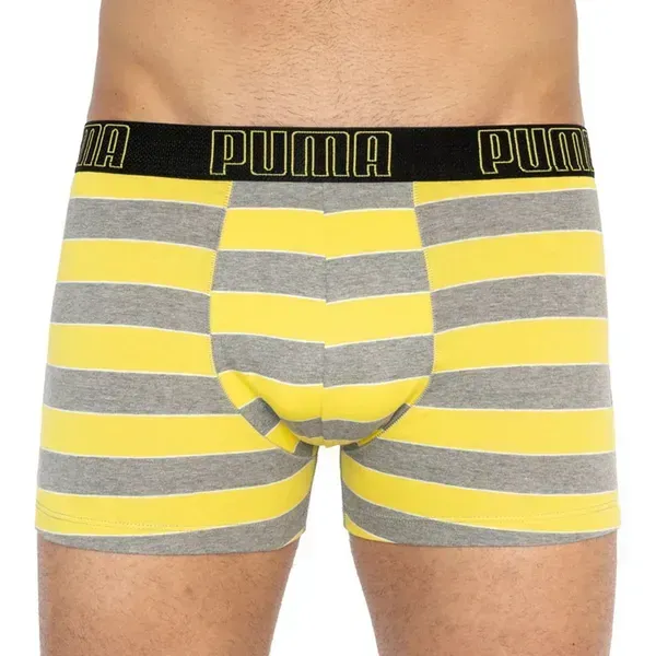 Труси-боксери Puma YD BOLD STRIPE BOXER 2P L | 501001001-020 фото
