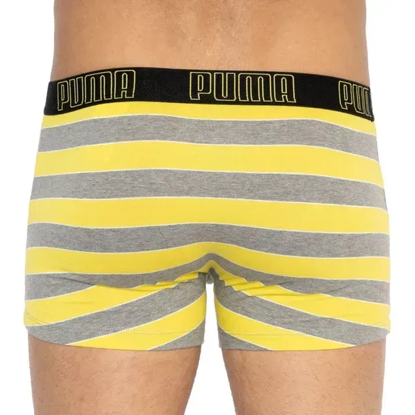 Труси-боксери Puma YD BOLD STRIPE BOXER 2P L | 501001001-020 фото