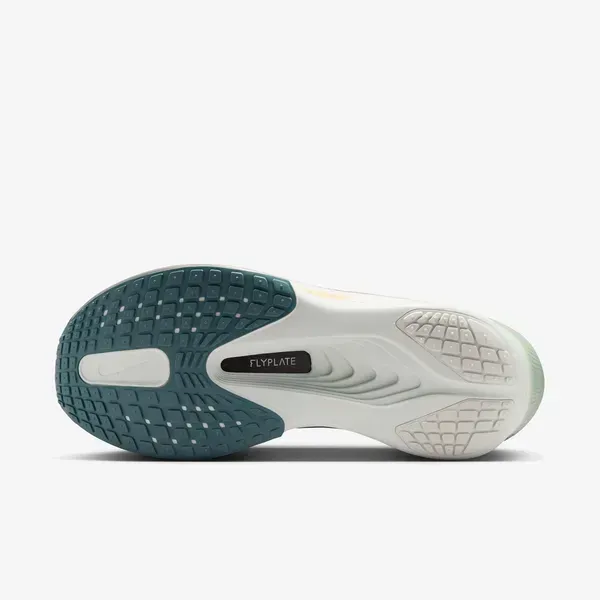 Чоловічі кросівки Nike Zoom Fly 6 | FN8454-006 фото